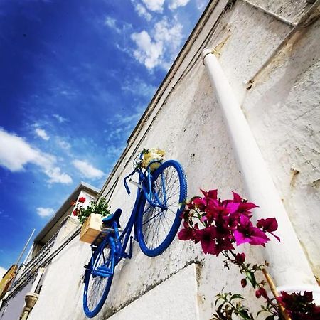 Casa Levante Villa Canosa di Puglia Eksteriør billede