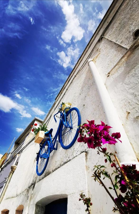 Casa Levante Villa Canosa di Puglia Eksteriør billede