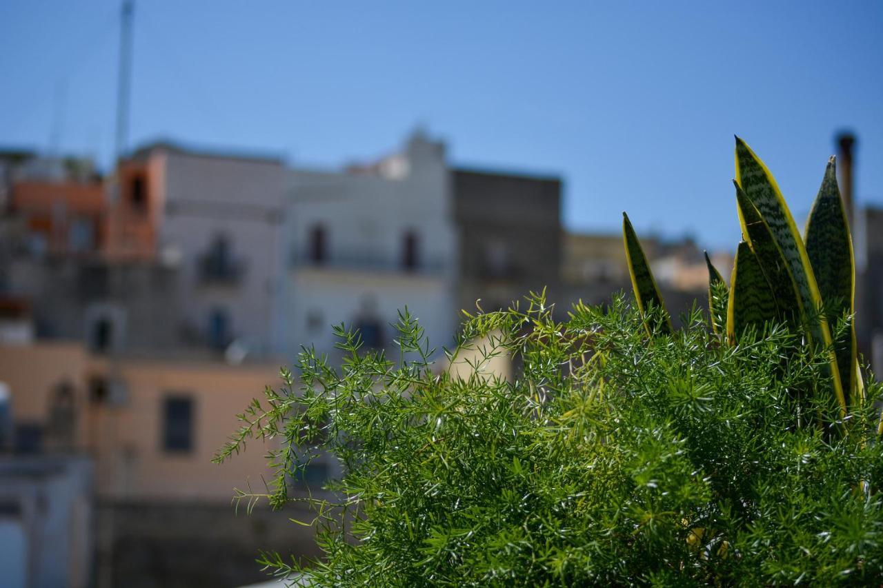 Casa Levante Villa Canosa di Puglia Eksteriør billede